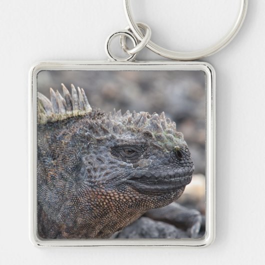 Marine Iguana Sleutelhanger (Voorkant)