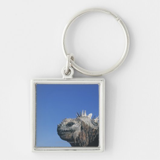 Marine Iguana Sleutelhanger (Voorkant)