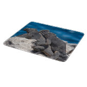 Marine Iguana Snijplank (Hoek)