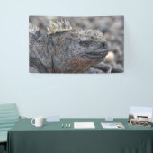 Marine Iguana Spandoek (Beurs)