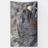 Marine Iguana Spandoek (Verticaal)