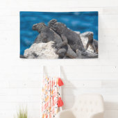 Marine Iguana Spandoek (Insitu)