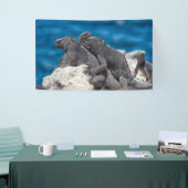 Marine Iguana Spandoek (Beurs)