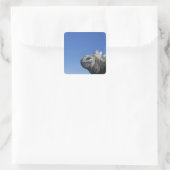 Marine Iguana Vierkante Sticker (Tas)
