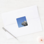 Marine Iguana Vierkante Sticker (Envelop)