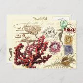 Marine Life Collage met postzegels en postzegels Briefkaart (Voorkant / Achterkant)