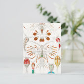 Marine Life Crustaceans, Copepoda by Ernst Haeckel Briefkaart (Staand voorkant)