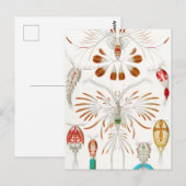 Marine Life Crustaceans, Copepoda by Ernst Haeckel Briefkaart (Voorkant / Achterkant)