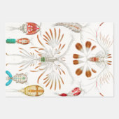Marine Life Crustaceans, Copepoda by Ernst Haeckel Inpakpapier Vel (Voorkant 2)