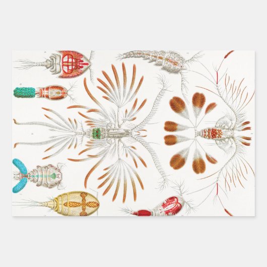 Marine Life Crustaceans, Copepoda by Ernst Haeckel Inpakpapier Vel (Voorkant)