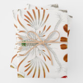 Marine Life Crustaceans, Copepoda by Ernst Haeckel Inpakpapier Vel (In situ)