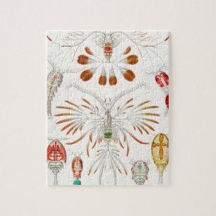 Marine Life Crustaceans, Copepoda by Ernst Haeckel Legpuzzel