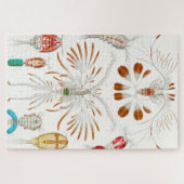 Marine Life Crustaceans, Copepoda by Ernst Haeckel Legpuzzel (Horizontaal)