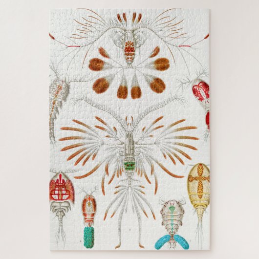 Marine Life Crustaceans, Copepoda by Ernst Haeckel Legpuzzel (Verticaal)