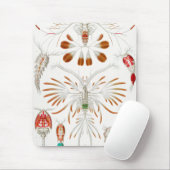 Marine Life Crustaceans, Copepoda by Ernst Haeckel Muismat (Met muis)