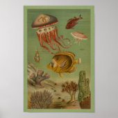 Marine Life Jellyfish, Fish, Coral Print (Voorkant)