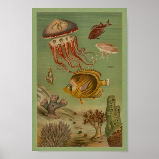Marine Life Jellyfish, Fish, Coral Print (Voorkant)