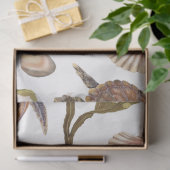 Marine Life Series Design 22 Vloeipapier Tissuepapier (Geschenk)