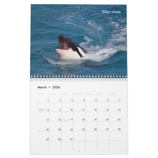 Marine mammals calendar kalender (Mar 2026)