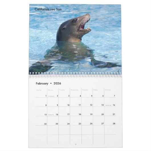 Marine mammals calendar kalender (Feb 2026)