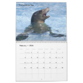 Marine mammals calendar kalender (Feb 2026)