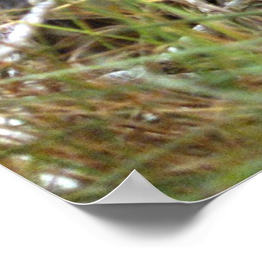 Marine Neemt doel Poster (Hoek)