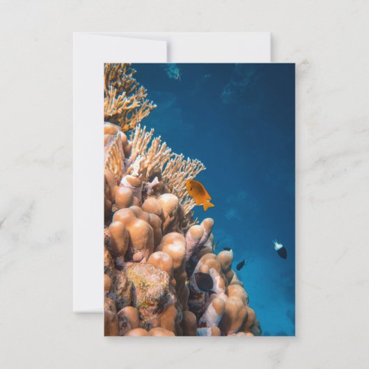 Marine Onderwater Zee Vis Riffen Kust Bruiloft RSVP Kaartje (Achterkant)