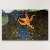 Marine Star Fish. Legpuzzel (Horizontaal)