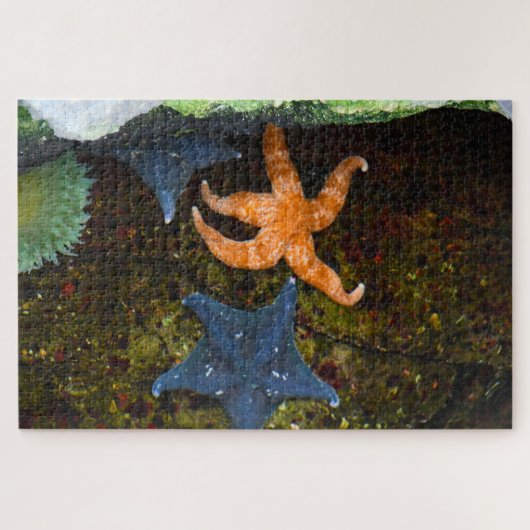 Marine Star Fish. Legpuzzel (Horizontaal)