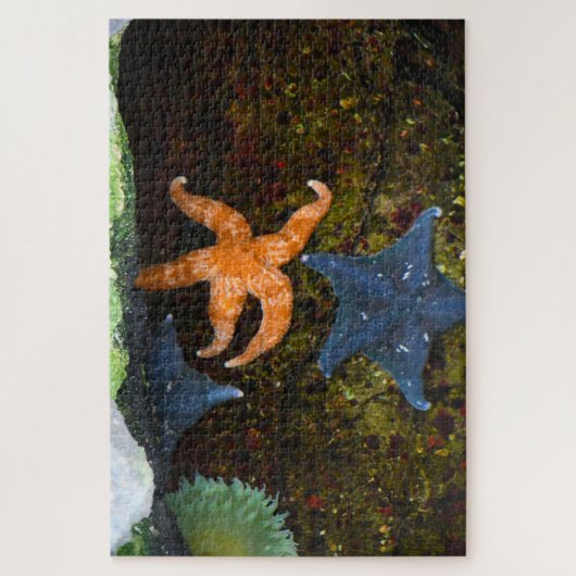 Marine Star Fish. Legpuzzel (Verticaal)