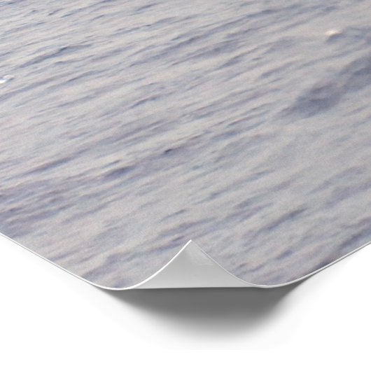 Marine Super Cobra Poster (Hoek)