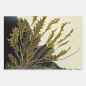 Marine Treasures Inpakpapier Vel (Voorkant 3)