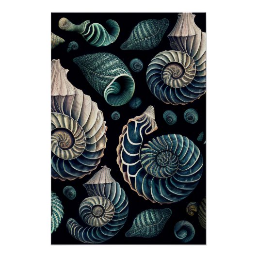 Marine Treasures Perfect Poster (Voorkant)