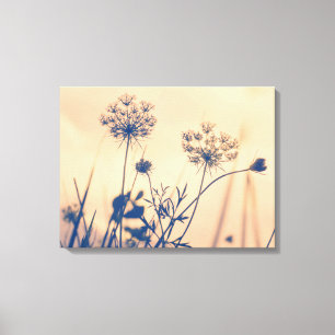 marine Umbels Flowers Floral Art Canvas Afdruk