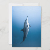 Marineblauw Onder De Zee Dolfijn Kust Bruiloft Kaart (Achterkant)