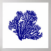 marineblauw op witte kustbodem poster (Voorkant)