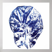 marineblauwe vioolbladvijg poster (Voorkant)