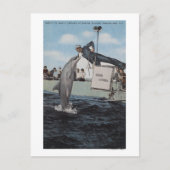 Marineland, Florida - Sailor Mouthfeed Briefkaart (Voorkant)