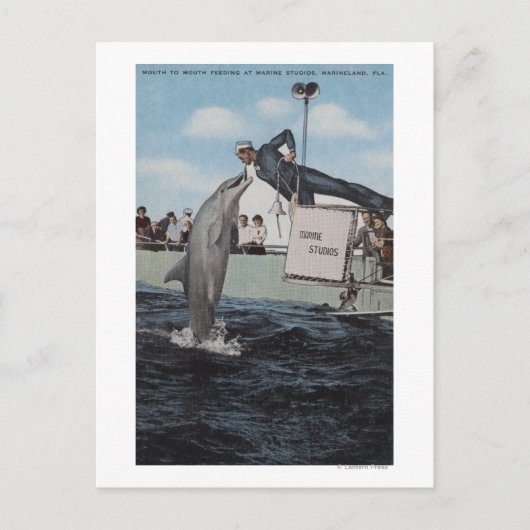 Marineland, Florida - Sailor Mouthfeed Briefkaart (Voorkant)
