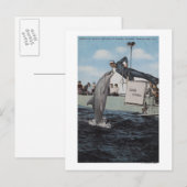 Marineland, Florida - Sailor Mouthfeed Briefkaart (Voorkant / Achterkant)