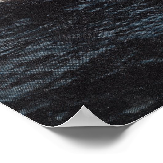 Marineland, Florida - Sailor Mouthfeed Poster (Hoek)