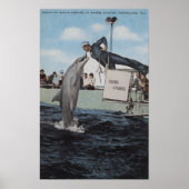 Marineland, Florida - Sailor Mouthfeed Poster (Voorkant)