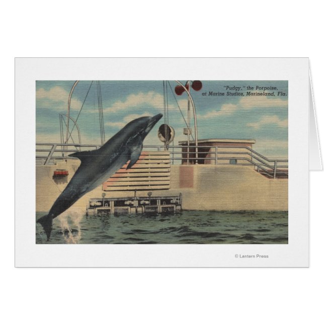 Marineland, Florida - Uitzicht van Pudgy de (Voorkant Horizontaal)