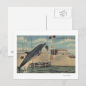 Marineland, Florida - Uitzicht van Pudgy de Briefkaart (Voorkant / Achterkant)