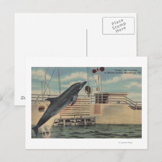 Marineland, Florida - Uitzicht van Pudgy de Briefkaart (Voorkant / Achterkant)