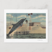 Marineland, Florida - Uitzicht van Pudgy de Briefkaart (Voorkant)