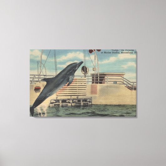 Marineland, Florida - Uitzicht van Pudgy de Canvas Afdruk (Voorkant)