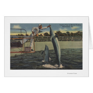 Marineland (Florida) - Uitzicht van veevoer