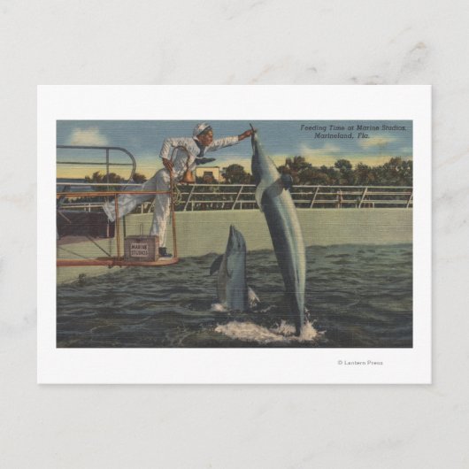 Marineland (Florida) - Uitzicht van veevoer Briefkaart (Voorkant)