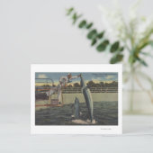 Marineland (Florida) - Uitzicht van veevoer Briefkaart (Staand voorkant)